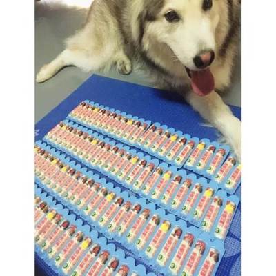 寵物奶酪 蘇州寵物食品的“營養小方”，46一箱包郵108條值不值？